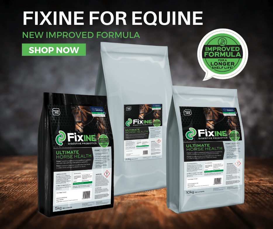 Fixine for equine